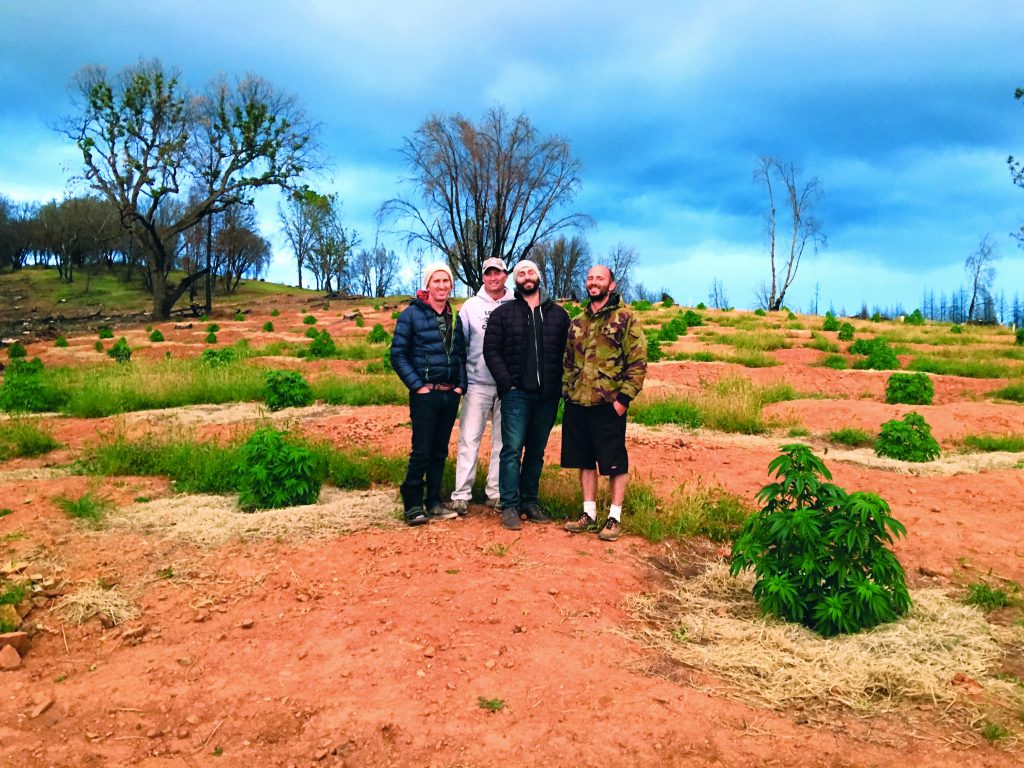 Bloom Farms
