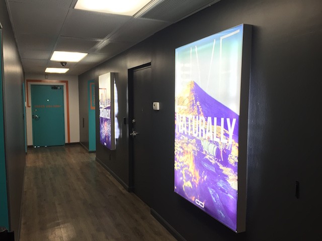 bloom dispensary