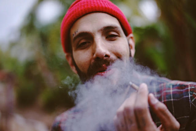 Zach Fernandez, hollyweed sign