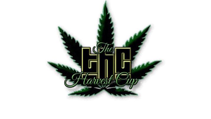The Harvest Cup 2017
