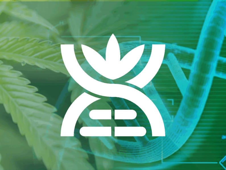 CannMed Conference 2019