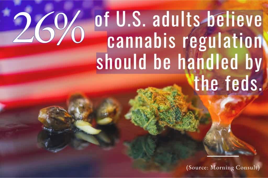 Cannabis-statistics-5-October-2019-mg-magazine-mgretailer