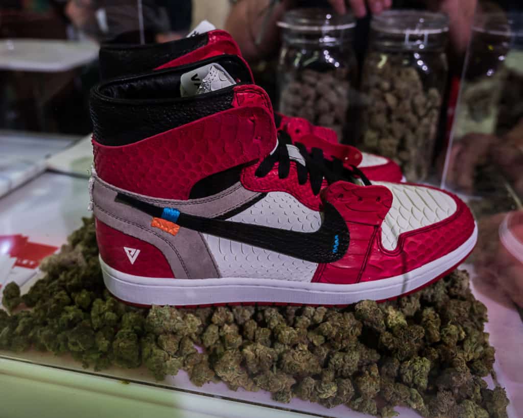 Hall-of-Flowers-Sept-2019-mg-magazine-cannabis-news-9509