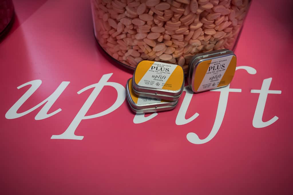 Hall-of-Flowers-Sept-2019-mg-magazine-cannabis-news-9512