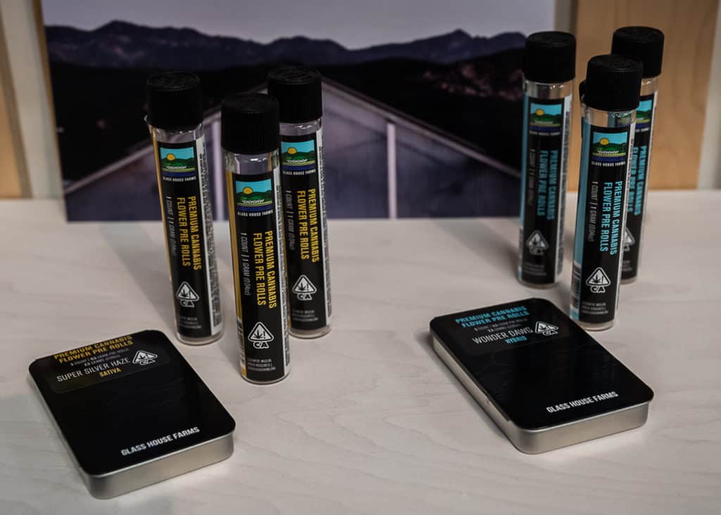 Hall-of-Flowers-Sept-2019-mg-magazine-cannabis-news-9540