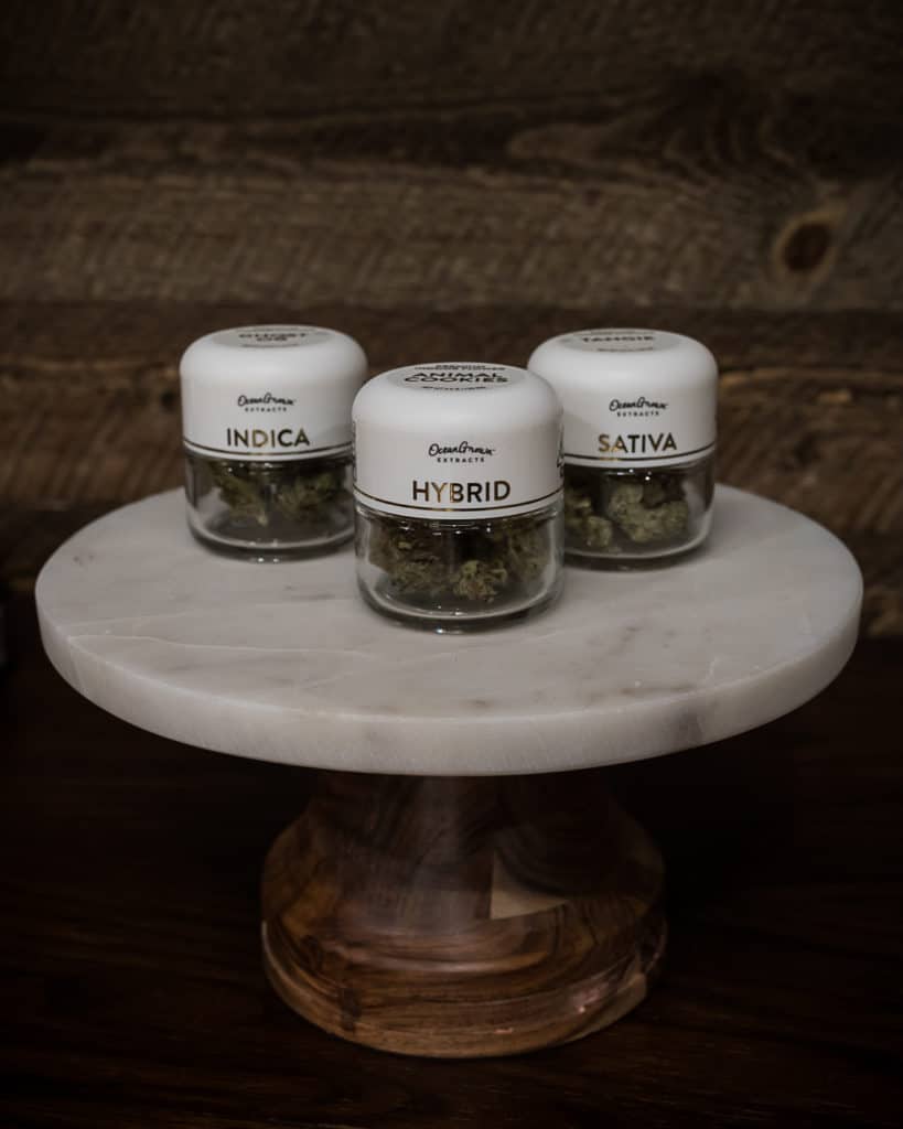 Hall-of-Flowers-Sept-2019-mg-magazine-cannabis-news-9554