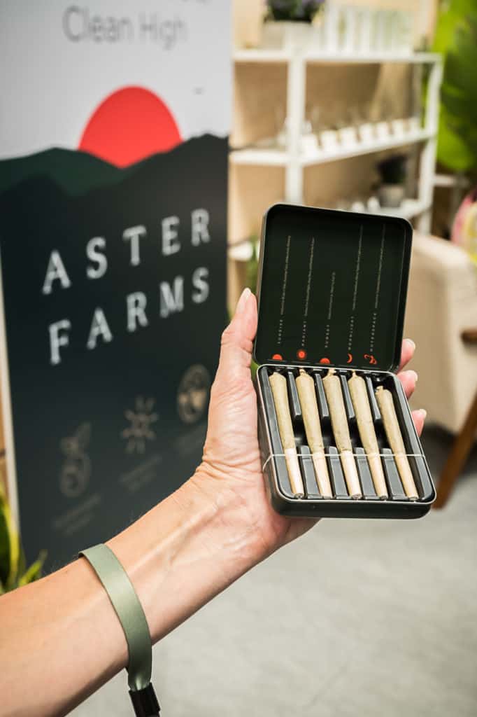 Hall-of-Flowers-Sept-2019-mg-magazine-cannabis-news-9582