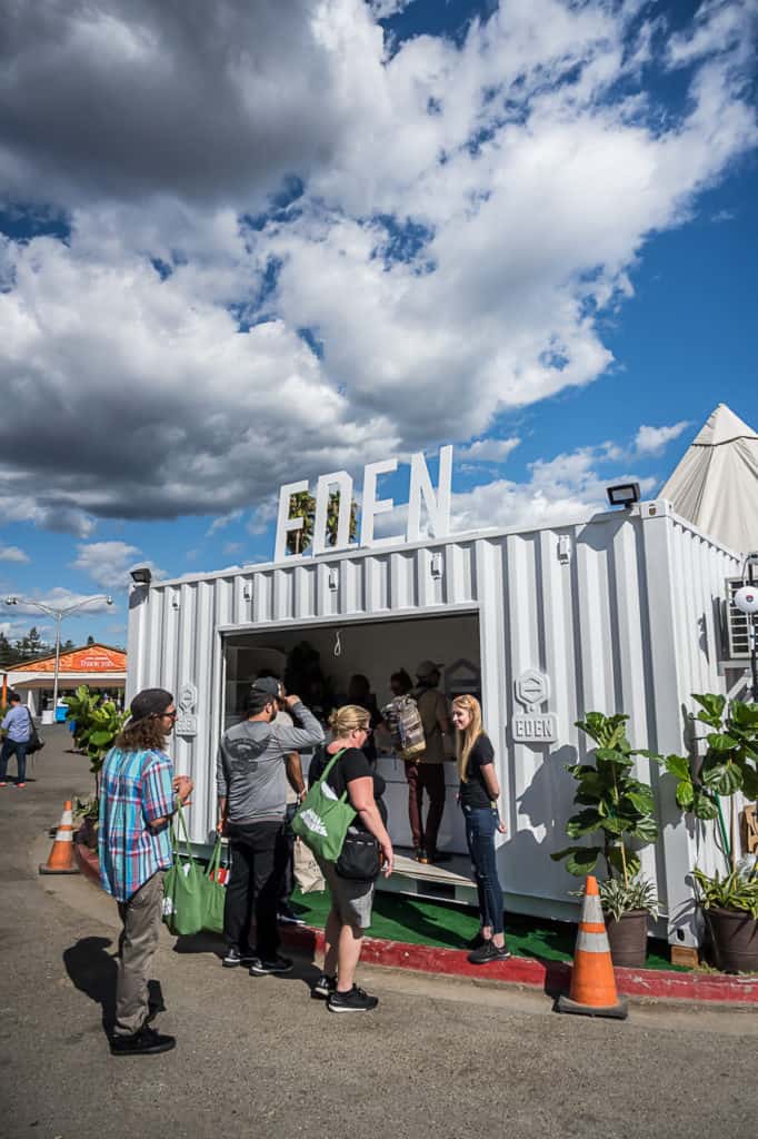 Hall-of-Flowers-Sept-2019-mg-magazine-cannabis-news-9600