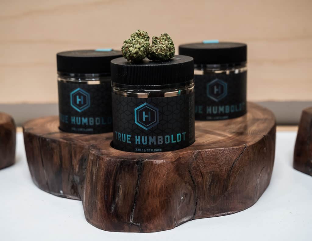 Hall-of-Flowers-Sept-2019-mg-magazine-cannabis-news-9625