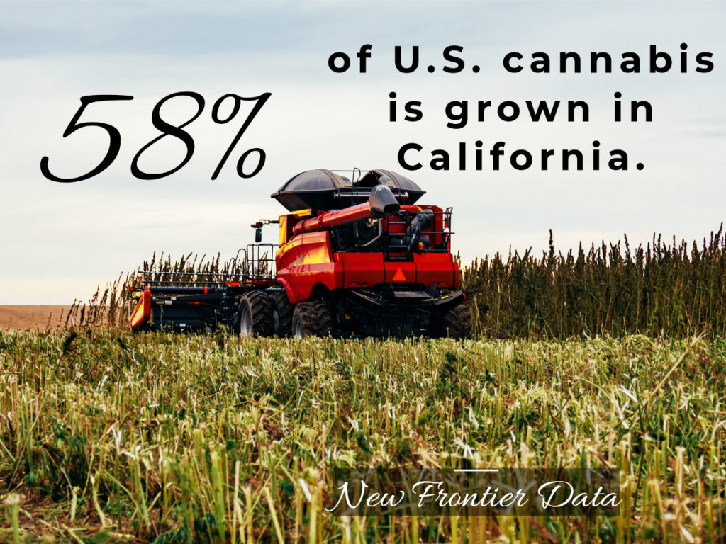Cannabis-statistics-4-December-2019-mg-magazine-mgretailer