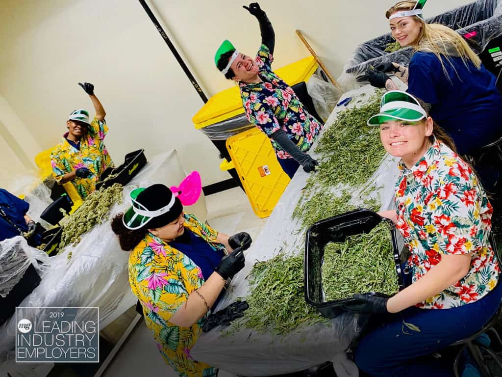 NorCal-Cannabis-Company-Trim-Room-mg-magazine-wm-1