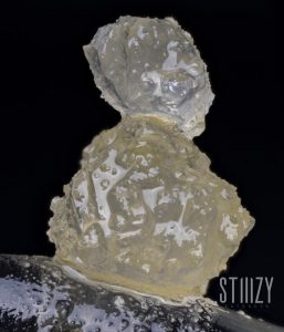 Shryne-Group-Stiiizy-extract-mg-Magazine