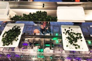 GreenBroz-Precision-Batcher-2-Cannabis-Packaging-Automation-mg-magazine-mgretailer GreenBroz-Precision-Batcher-2-Cannabis-Packaging-Automation-mg-magazine-mgretailer