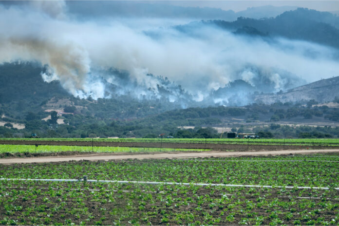 Wildfires-Ash-and-Smoke-Threaten-2020-Hemp-and-Cannabis-Crops-cannabis-news-mg-magazine-mgretailer smoke over a hemp cannabis farm affecting cultivation costs