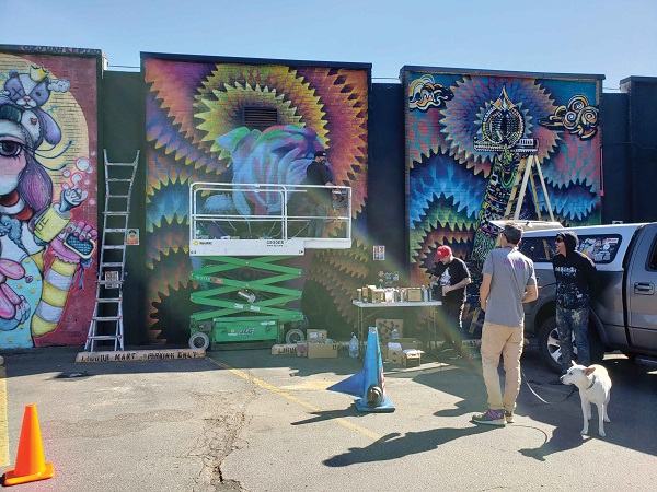 Colorado-Street-Wise-Boulder-7-cannabis-news-mg-Magazine-mgretailer