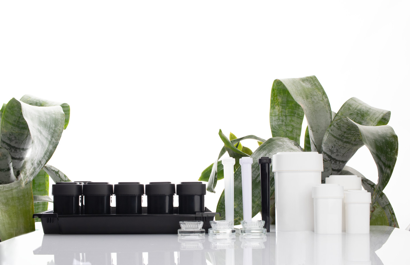 Calyx-Containers-all-product-lineup-mg-Magazine-mgretailer Calyx Containers sustainable product lineup mg Magazine mgretailer