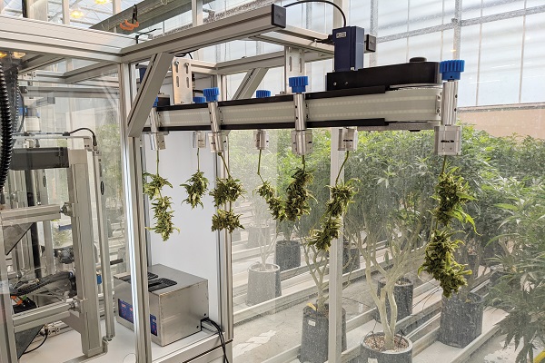 Bloom-Automation-1-cannabis-news-mg-Magazine-mgretailer