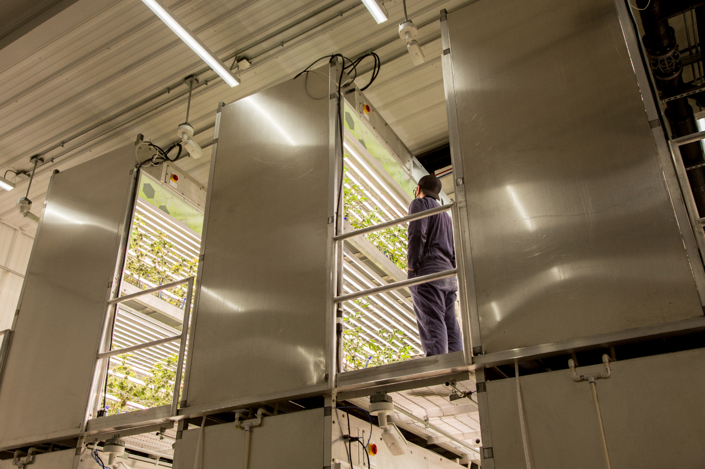 Agrify cannabis Vertical Farming Units mg Magazine mgretailer Agrify cannabis Vertical Farming Units mg Magazine mgretailer