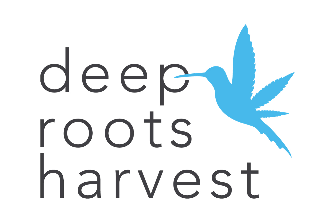 Nevada cannabis operator Deep Roots Harvest names James Mao as Director of Marketing