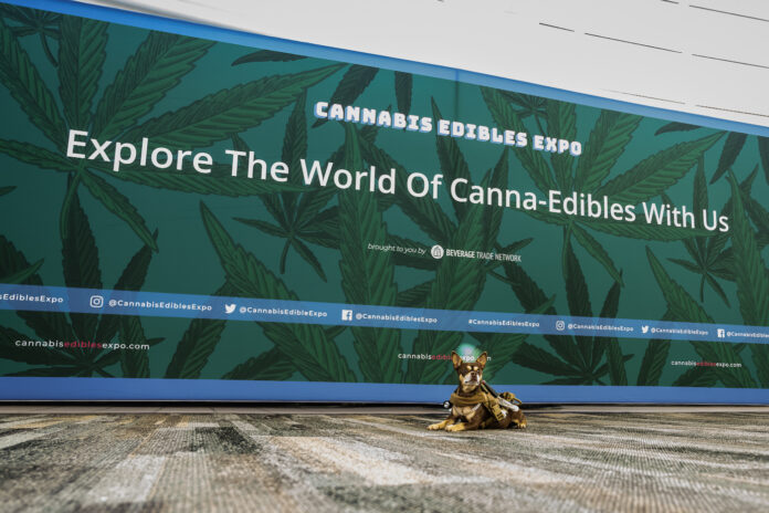 Cannabis Drinks Expo 2021 Mike Rosati mg Magazine