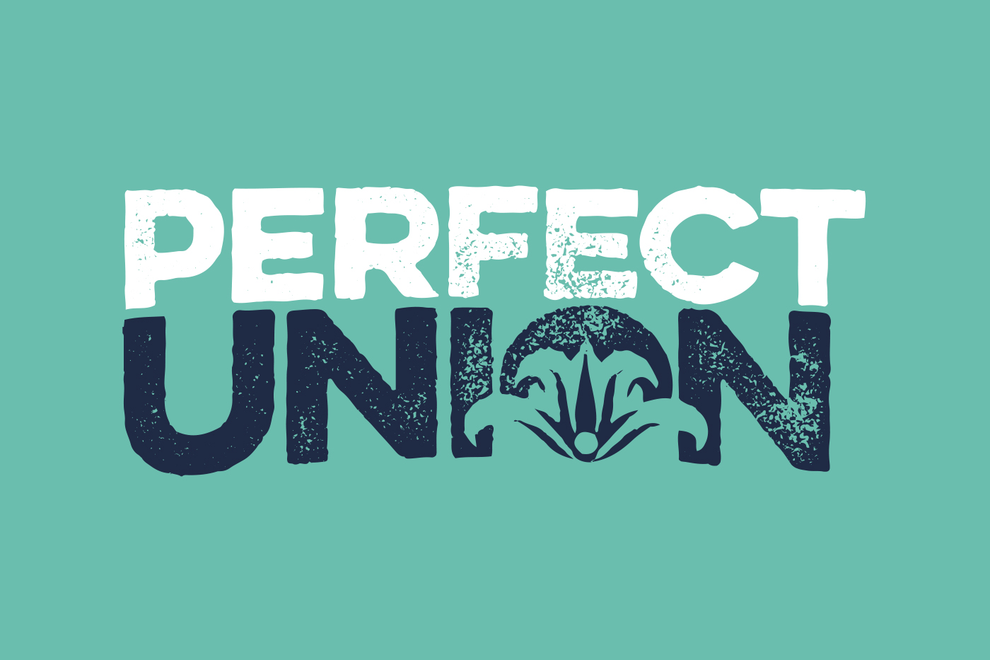 Meghan Fort Takes on New Role as Chief Operating Officer of Perfect Union