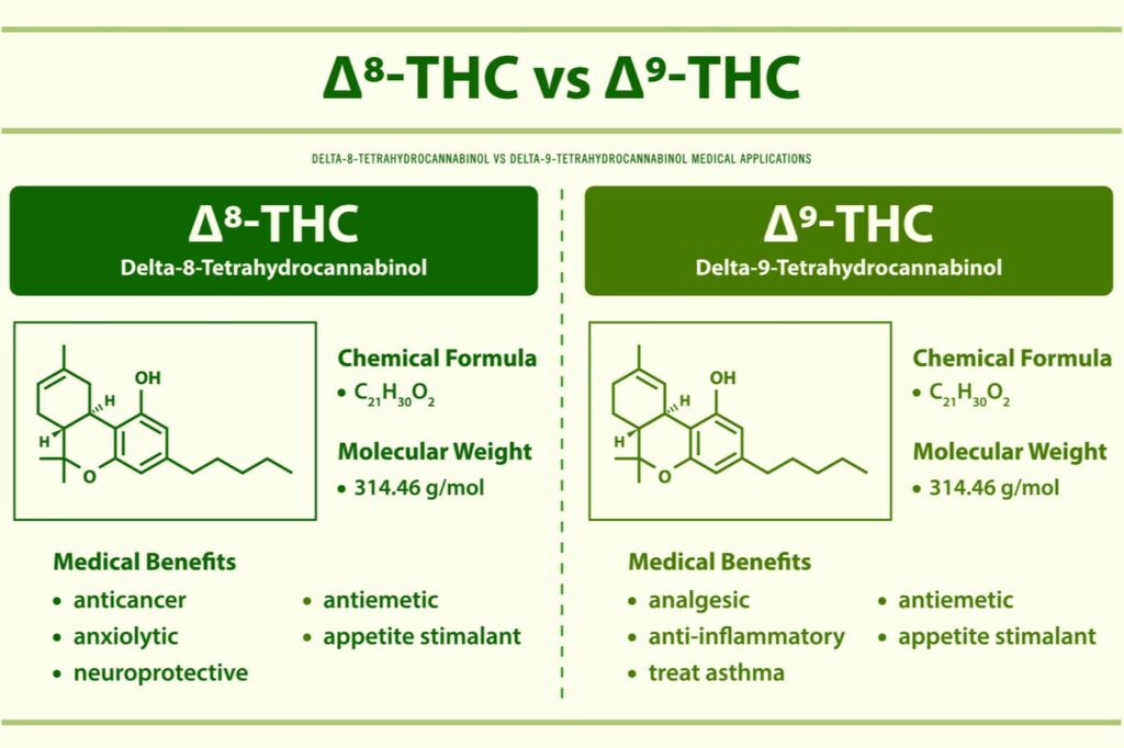 Delta 8 THC vs Delta 9 THC infographic