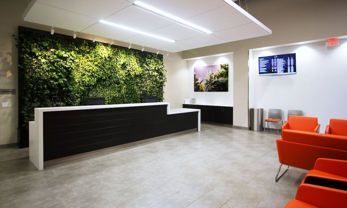 dispensary lobby with white floor and ceiling and a plant wall behind a black counter accented with orange chairs