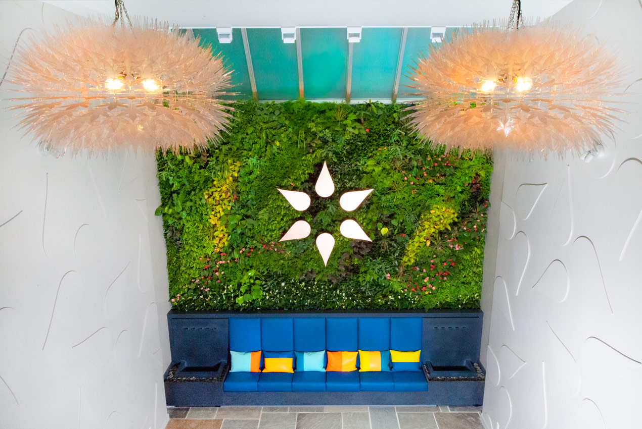 plant wall over blue sofa seating with the etain logo in the center