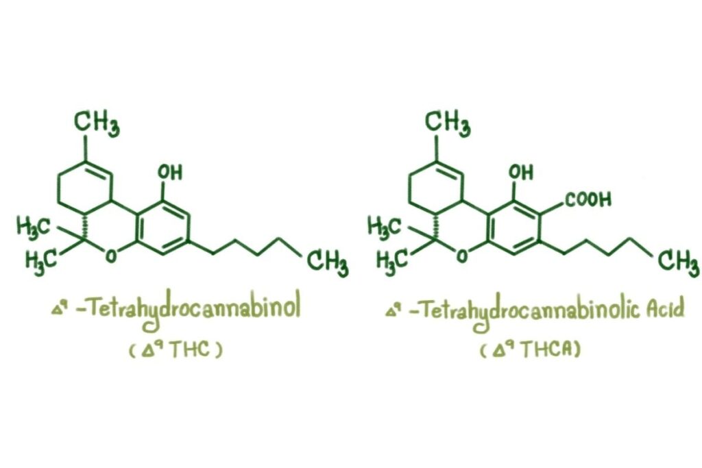 THC-vs-THCA-molecules