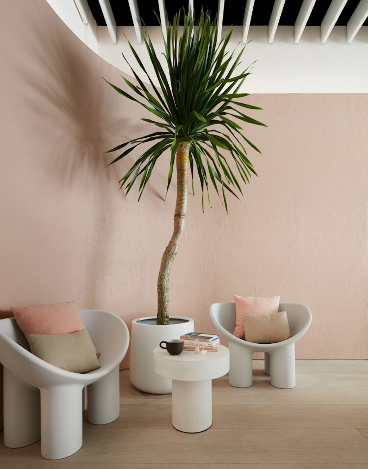soft pink room with green spiky tree and white chairs