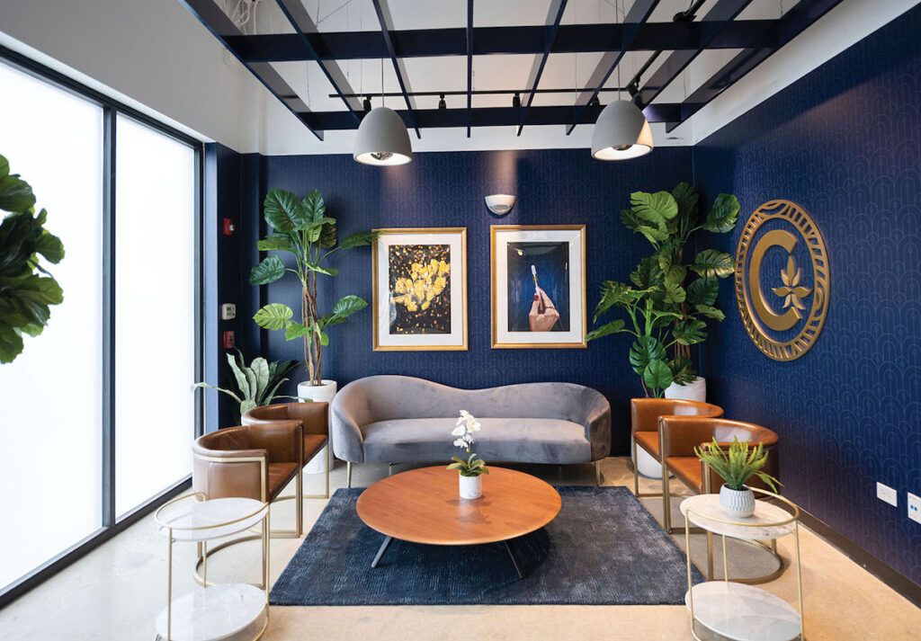 cannabist lounge light brown hard wood floor deep navy blue walls vibrant green plants in the corners of the room with a small gray loveseat and brown leather mod style chairs arranged around a brown wooden coffee table